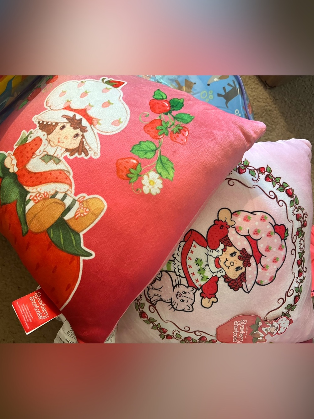 2 Strawberry Shortcake Decorative Pillows. New. With Tags
